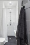 Μικρό άσπρο κεραμωμένο ensuite λουτρό με το ντους και την τουαλέτα και το εκτάριο στοκ εικόνες Μικρό άσπρο κεραμωμένο ensuite λουτρό με το ντους και την τουαλέτα και το εκτάριο στοκ εικόνες