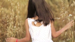 Μικρό κορίτσι σε έναν τομέα της ψηλής χλόης στο ηλιοβασίλεμα απόθεμα βίντεο Μικρό κορίτσι σε έναν τομέα της ψηλής χλόης στο ηλιοβασίλεμα απόθεμα βίντεο