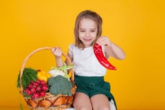 Μικρό όμορφο κορίτσι που κρατά ένα καλάθι των φρέσκων υγιών τροφίμων φρούτων και λαχανικών στοκ εικόνες Μικρό όμορφο κορίτσι που κρατά ένα καλάθι των φρέσκων υγιών τροφίμων φρούτων και λαχανικών στοκ εικόνες