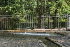 Μικρός weir της Νίκαιας καταρράκτης σε ένα δημόσιο πάρκο στοκ εικόνες με δικαίωμα ελεύθερης χρήσης Μικρός weir της Νίκαιας καταρράκτης σε ένα δημόσιο πάρκο στοκ εικόνες με δικαίωμα ελεύθερης χρήσης