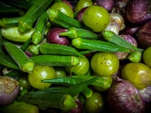 μικτά ακατέργαστα λαχανικά με ladyfinger, κρεμμύδι, amla στοκ εικόνες με δικαίωμα ελεύθερης χρήσης μικτά ακατέργαστα λαχανικά με ladyfinger, κρεμμύδι, amla στοκ εικόνες με δικαίωμα ελεύθερης χρήσης