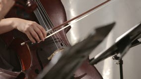 μουσικό κουαρτέτο παιχνιδιού οργάνων παιδιών Βιολοντσέλο παιχνιδιού κοριτσιών σε ένα κουαρτέτο των βιολιστών κλείστε επάνω απόθεμα βίντεο μουσικό κουαρτέτο παιχνιδιού οργάνων παιδιών Βιολοντσέλο παιχνιδιού κοριτσιών σε ένα κουαρτέτο των βιολιστών κλείστε επάνω απόθεμα βίντεο