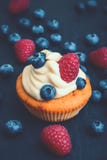 Μούρο Cupcake με το κρεμώδες κάλυμμα στοκ εικόνα με δικαίωμα ελεύθερης χρήσης Μούρο Cupcake με το κρεμώδες κάλυμμα στοκ εικόνα με δικαίωμα ελεύθερης χρήσης