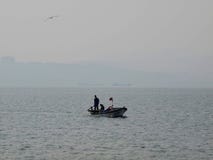 Μπλε αλιεύοντας πόλη πουλιών βαρκών κυνηγών θάλασσας στοκ εικόνα Μπλε αλιεύοντας πόλη πουλιών βαρκών κυνηγών θάλασσας στοκ εικόνα