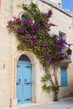 Μπλε πόρτα με τα λουλούδια στη Μάλτα στοκ φωτογραφία Μπλε πόρτα με τα λουλούδια στη Μάλτα στοκ φωτογραφία