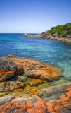 Μπλε ωκεάνια γραμμή ακτών και ουρανού στον ωκεάνιο δρόμο Βικτώρια μια θερινή ημέρα στοκ φωτογραφία Μπλε ωκεάνια γραμμή ακτών και ουρανού στον ωκεάνιο δρόμο Βικτώρια μια θερινή ημέρα στοκ φωτογραφία