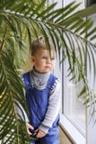 Μωρό σε ένα μπλε jumpsuit πίσω από έναν φοίνικα κοντά στο παράθυρο στοκ φωτογραφία Μωρό σε ένα μπλε jumpsuit πίσω από έναν φοίνικα κοντά στο παράθυρο στοκ φωτογραφία