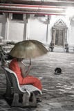 Μόνος μοναχός με τη συνεδρίαση ομπρελών στον πάγκο μέσα στο βουδιστικό ναυπηγείο ναών με τη μαύρη γάτα στο υπόβαθρο στοκ φωτογραφίες Μόνος μοναχός με τη συνεδρίαση ομπρελών στον πάγκο μέσα στο βουδιστικό ναυπηγείο ναών με τη μαύρη γάτα στο υπόβαθρο στοκ φωτογραφίες
