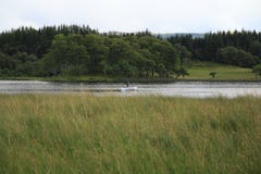 Μόνος ψαράς με το κάστρο Kilchurn, στο lochAwe σε Higlands της Σκωτίας στοκ φωτογραφίες Μόνος ψαράς με το κάστρο Kilchurn, στο lochAwe σε Higlands της Σκωτίας στοκ φωτογραφίες