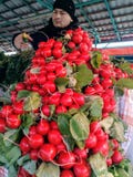 Μόσχα, RF 26 Μαρτίου 2019: φρέσκα κόκκινα ραδίκια στο μετρητή αγοράς ο πωλητής ποτίζει τα πράσινα από τον ψεκασμό στοκ εικόνες Μόσχα, RF 26 Μαρτίου 2019: φρέσκα κόκκινα ραδίκια στο μετρητή αγοράς ο πωλητής ποτίζει τα πράσινα από τον ψεκασμό στοκ εικόνες