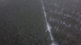 Μύγα με τον κηφήνα πέρα από ένα χιονώδες δάσος απόθεμα βίντεο Μύγα με τον κηφήνα πέρα από ένα χιονώδες δάσος απόθεμα βίντεο