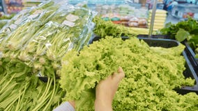 Νέα γυναίκα που επιλέγει τα πράσινα λαχανικά στο μανάβικο στοκ εικόνα Νέα γυναίκα που επιλέγει τα πράσινα λαχανικά στο μανάβικο στοκ εικόνα