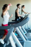 Νέα και όμορφη κυρία που τρέχει treadmill και έναν ιδρώτα στοκ εικόνα με δικαίωμα ελεύθερης χρήσης Νέα και όμορφη κυρία που τρέχει treadmill και έναν ιδρώτα στοκ εικόνα με δικαίωμα ελεύθερης χρήσης