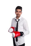 Νέος μπόξερ επιχειρηματιών, άσπρο υπόβαθρο στοκ φωτογραφίες με δικαίωμα ελεύθερης χρήσης Νέος μπόξερ επιχειρηματιών, άσπρο υπόβαθρο στοκ φωτογραφίες με δικαίωμα ελεύθερης χρήσης