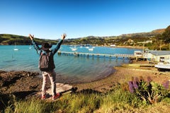 Νέος ταξιδιώτης που θαυμάζει την άποψη Akaroa, Νέα Ζηλανδία στοκ εικόνες Νέος ταξιδιώτης που θαυμάζει την άποψη Akaroa, Νέα Ζηλανδία στοκ εικόνες