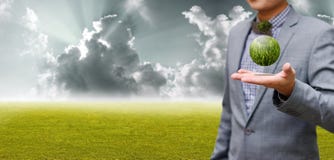 να αναπτύξει απορριμάτων συντήρησης έννοιας περιβαλλοντικό φυτό στοκ φωτογραφίες με δικαίωμα ελεύθερης χρήσης να αναπτύξει απορριμάτων συντήρησης έννοιας περιβαλλοντικό φυτό στοκ φωτογραφίες με δικαίωμα ελεύθερης χρήσης