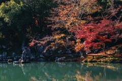 Ναός Tenryu-tenryu-ji και κήπος Sogenchi με την εποχή φθινοπώρου ζωηρόχρωμη στοκ εικόνες Ναός Tenryu-tenryu-ji και κήπος Sogenchi με την εποχή φθινοπώρου ζωηρόχρωμη στοκ εικόνες