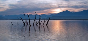 Νεκροί κορμοί και κλάδοι δέντρων που σπρώχνουν από την πληγείσα από την ξηρασία λίμνη Isabella στην ανατολή στην οροσειρά βουνά τ στοκ φωτογραφία με δικαίωμα ελεύθερης χρήσης Νεκροί κορμοί και κλάδοι δέντρων που σπρώχνουν από την πληγείσα από την ξηρασία λίμνη Isabella στην ανατολή στην οροσειρά βουνά τ στοκ φωτογραφία με δικαίωμα ελεύθερης χρήσης