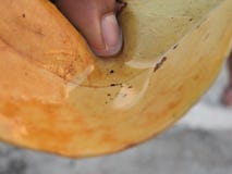Νερό λεπτομέρειας λεπτομερώς στον κόσμο στοκ εικόνες με δικαίωμα ελεύθερης χρήσης Νερό λεπτομέρειας λεπτομερώς στον κόσμο στοκ εικόνες με δικαίωμα ελεύθερης χρήσης