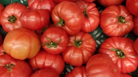 Ντομάτες σε ένα ράφι υπεραγορών στοκ εικόνα Ντομάτες σε ένα ράφι υπεραγορών στοκ εικόνα
