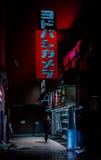 Νύχτες Akihabara στοκ φωτογραφία με δικαίωμα ελεύθερης χρήσης Νύχτες Akihabara στοκ φωτογραφία με δικαίωμα ελεύθερης χρήσης