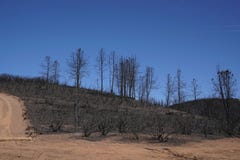 Ξεράνετε τη μμένη βουνοπλαγιά Καλιφόρνιας που απανθρακώνεται και που καταστρέφεται από μια δασική πυρκαγιά στοκ φωτογραφίες Ξεράνετε τη μμένη βουνοπλαγιά Καλιφόρνιας που απανθρακώνεται και που καταστρέφεται από μια δασική πυρκαγιά στοκ φωτογραφίες