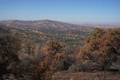 Ξεράνετε τη μμένη βουνοπλαγιά Καλιφόρνιας που απανθρακώνεται και που καταστρέφεται από μια δασική πυρκαγιά στοκ εικόνες Ξεράνετε τη μμένη βουνοπλαγιά Καλιφόρνιας που απανθρακώνεται και που καταστρέφεται από μια δασική πυρκαγιά στοκ εικόνες