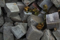 Ξηρά τριαντάφυλλα στο σωρό των τούβλων πετρών Οι παλαίμαχοι, ΣΧΙΖΟΥΝ, στηρίζονται στην αναμνηστική έννοια ειρήνης στοκ φωτογραφία Ξηρά τριαντάφυλλα στο σωρό των τούβλων πετρών Οι παλαίμαχοι, ΣΧΙΖΟΥΝ, στηρίζονται στην αναμνηστική έννοια ειρήνης στοκ φωτογραφία