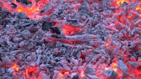 Ξυλάνθρακας που καίγεται με το ζωηρόχρωμο πορτοκαλί φως στην εστία φλογών φωτιών καυσόξυλου στον καταπληκτικό άνετο ικανοποιώντας φιλμ μικρού μήκους Ξυλάνθρακας που καίγεται με το ζωηρόχρωμο πορτοκαλί φως στην εστία φλογών φωτιών καυσόξυλου στον καταπληκτικό άνετο ικανοποιώντας φιλμ μικρού μήκους