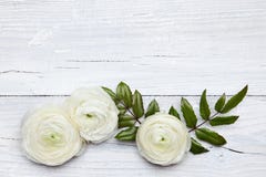 Ξύλινο υπόβαθρο με τα λουλούδια στοκ εικόνες Ξύλινο υπόβαθρο με τα λουλούδια στοκ εικόνες
