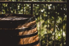 Ξύλινο βαρέλι με το κόκκινο και wihte κρασί για τη δοκιμή στον αμπελώνα Διάστημα αντιγράφων για το κείμενο και το σχέδιο Κατασκευ στοκ φωτογραφία με δικαίωμα ελεύθερης χρήσης Ξύλινο βαρέλι με το κόκκινο και wihte κρασί για τη δοκιμή στον αμπελώνα Διάστημα αντιγράφων για το κείμενο και το σχέδιο Κατασκευ στοκ φωτογραφία με δικαίωμα ελεύθερης χρήσης