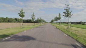 Οδήγηση ενός αυτοκινήτου σε έναν δρόμο tarmac με τα μικρά δέντρα Οδήγηση ενός αυτοκινήτου σε έναν δρόμο tarmac με τα μικρά δέντρα