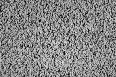 Ο αναλογικοί kinescope TV CRT Μαύρος & λευκό θορύβου � στοκ φωτογραφίες με δικαίωμα ελεύθερης χρήσης Ο αναλογικοί kinescope TV CRT Μαύρος & λευκό θορύβου � στοκ φωτογραφίες με δικαίωμα ελεύθερης χρήσης