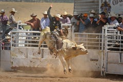 Ο αναβάτης του Bull παίρνει αερομεταφερόμενος στοκ εικόνες Ο αναβάτης του Bull παίρνει αερομεταφερόμενος στοκ εικόνες
