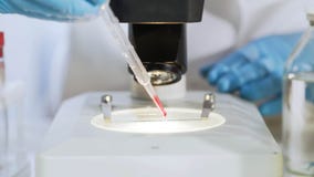 Ο βιοχημικός που προετοιμάζει τη φωτογραφική διαφάνεια με το δείγμα αίματος, το εξετάζει κάτω από το μικροσκόπιο στοκ εικόνα με δικαίωμα ελεύθερης χρήσης Ο βιοχημικός που προετοιμάζει τη φωτογραφική διαφάνεια με το δείγμα αίματος, το εξετάζει κάτω από το μικροσκόπιο στοκ εικόνα με δικαίωμα ελεύθερης χρήσης
