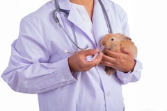 Ο γιατρός ή ο επιστήμονας χρησιμοποιεί τη σύριγγα για να ταΐσει την υγρή χημική ουσία στο καφετί κουνέλι που κρατιέται στο βραχίο στοκ εικόνες με δικαίωμα ελεύθερης χρήσης Ο γιατρός ή ο επιστήμονας χρησιμοποιεί τη σύριγγα για να ταΐσει την υγρή χημική ουσία στο καφετί κουνέλι που κρατιέται στο βραχίο στοκ εικόνες με δικαίωμα ελεύθερης χρήσης