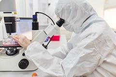 Ο γιατρός εξετάζει το μικροσκόπιο Ο επιστήμονας πραγματοποιεί την έρευνα στοκ φωτογραφία Ο γιατρός εξετάζει το μικροσκόπιο Ο επιστήμονας πραγματοποιεί την έρευνα στοκ φωτογραφία