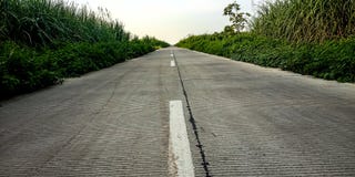 Ο δρόμος δίπλα στον κήπο καλάμων ζάχαρης το πρωί στοκ εικόνες Ο δρόμος δίπλα στον κήπο καλάμων ζάχαρης το πρωί στοκ εικόνες