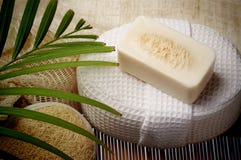 Ο ειδικός τρίβει το σαπούνι στη SPA που τίθεται για το υγιές δέρμα Στοκ εικόνες με δικαίωμα ελεύθερης χρήσης Ο ειδικός τρίβει το σαπούνι στη SPA που τίθεται για το υγιές δέρμα Στοκ εικόνες με δικαίωμα ελεύθερης χρήσης