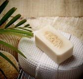 Ο ειδικός τρίβει το σαπούνι στη SPA που τίθεται για το υγιές δέρμα Στοκ φωτογραφία με δικαίωμα ελεύθερης χρήσης Ο ειδικός τρίβει το σαπούνι στη SPA που τίθεται για το υγιές δέρμα Στοκ φωτογραφία με δικαίωμα ελεύθερης χρήσης