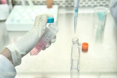 Ο ερευνητής γυναικών που αλλάζει ένα νέο μέσο αύξησης για το μέσο πολιτισμού στη φιάλη για διατηρεί τη γραμμή κυττάρων στην έρευν στοκ φωτογραφία Ο ερευνητής γυναικών που αλλάζει ένα νέο μέσο αύξησης για το μέσο πολιτισμού στη φιάλη για διατηρεί τη γραμμή κυττάρων στην έρευν στοκ φωτογραφία