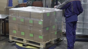 Ο κλάδος των κιβωτίων συσκευάζεται με το polyfirm στις εγκαταστάσεις απόθεμα βίντεο Ο κλάδος των κιβωτίων συσκευάζεται με το polyfirm στις εγκαταστάσεις απόθεμα βίντεο