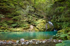 Ο κολπίσκος έρχεται σε μια μικρή γούρνα λιμνών ο μικρός καταρράκτης με στοκ εικόνα Ο κολπίσκος έρχεται σε μια μικρή γούρνα λιμνών ο μικρός καταρράκτης με στοκ εικόνα