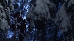 Ο νεαρός άνδρας και η γυναίκα που φορούν τα κόκκινα κοστούμια περπατούν αργά στο χιονώδες χειμερινό δάσος απόθεμα βίντεο Ο νεαρός άνδρας και η γυναίκα που φορούν τα κόκκινα κοστούμια περπατούν αργά στο χιονώδες χειμερινό δάσος απόθεμα βίντεο