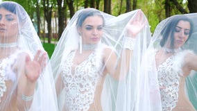 Ο πυροβολισμός τόξων των θηλυκών προτύπων που καλύπτονται με τα νυφικά πέπλα θέτει για το βλαστό φωτογραφιών απόθεμα βίντεο Ο πυροβολισμός τόξων των θηλυκών προτύπων που καλύπτονται με τα νυφικά πέπλα θέτει για το βλαστό φωτογραφιών απόθεμα βίντεο