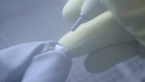 Οδοντικός τεχνικός που γυαλίζει τα τεχνητά κεραμικά δόντια που χρησιμοποιούν sandblaster στο οδοντικό εργαστήριο Η επαγγελματική φιλμ μικρού μήκους Οδοντικός τεχνικός που γυαλίζει τα τεχνητά κεραμικά δόντια που χρησιμοποιούν sandblaster στο οδοντικό εργαστήριο Η επαγγελματική φιλμ μικρού μήκους