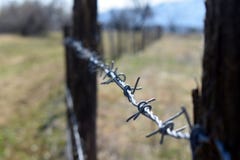 Οδοντωτός - φράκτης καλωδίων για την περιορισμένη περιοχή στοκ εικόνα Οδοντωτός - φράκτης καλωδίων για την περιορισμένη περιοχή στοκ εικόνα