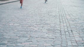 Οι αθλητές τρέχουν κατά μήκος του στρωμένου δρόμου πετρών, μαραθώνιος πόλεων, κινηματογράφηση σε πρώτο πλάνο ποδιών δρομέων `, αθ απόθεμα βίντεο Οι αθλητές τρέχουν κατά μήκος του στρωμένου δρόμου πετρών, μαραθώνιος πόλεων, κινηματογράφηση σε πρώτο πλάνο ποδιών δρομέων `, αθ απόθεμα βίντεο