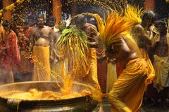 Οι ινδοί θιασώτες εκτελούν το turmeric τελετουργικό λουσίματος του ετήσιου φεστιβάλ που γίνεται κατά τη διάρκεια στο ναό του Αμμά στοκ εικόνα Οι ινδοί θιασώτες εκτελούν το turmeric τελετουργικό λουσίματος του ετήσιου φεστιβάλ που γίνεται κατά τη διάρκεια στο ναό του Αμμά στοκ εικόνα