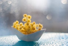 Οι κίτρινες μικρές σφαίρες Mimosa ανθίζουν σε μια βάρκα εγγράφου σε ένα μπλε υπόβαθρο με το bokeh στοκ φωτογραφία Οι κίτρινες μικρές σφαίρες Mimosa ανθίζουν σε μια βάρκα εγγράφου σε ένα μπλε υπόβαθρο με το bokeh στοκ φωτογραφία